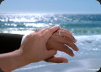 Wedding Photograph, Santa Cruz Beach - Rings close-up