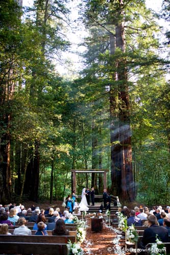 San Mateo County Memorial Park - Photography by Advanced Wedding ...